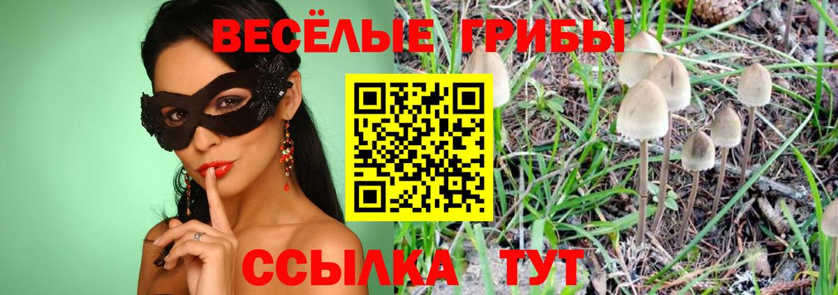 магазин  наркотиков  Псилоцибиновые грибы Psilocybe  Вход с VPN  Удомля 
