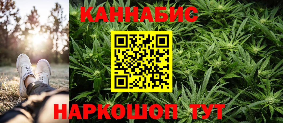 Бошки Шишки конопля  Шишки марихуана планчик  Удомля  Вход с VPN 
